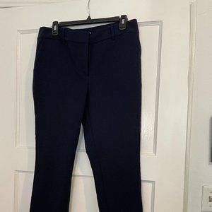Ann taylor factory ankle length pants 8P